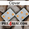 Cipvar 25